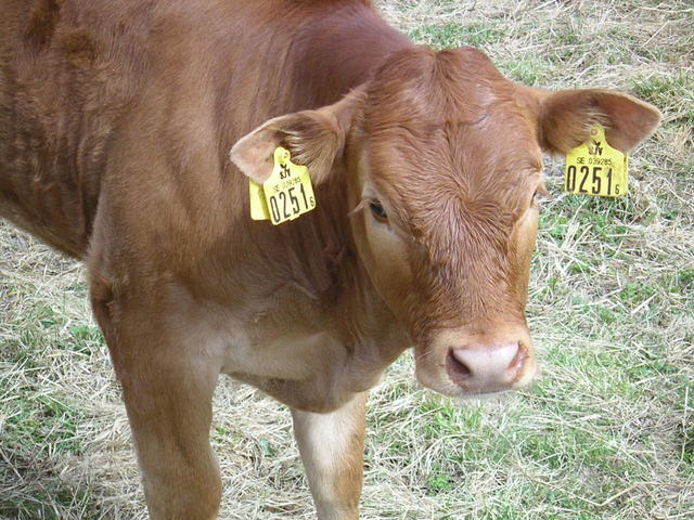 20040424_121427_0.jpg