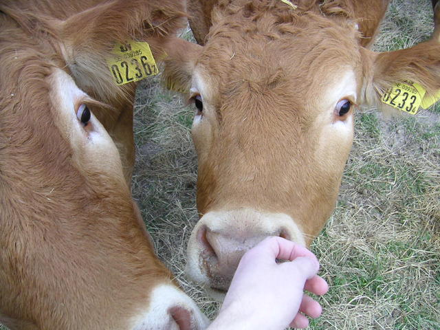20040424_121434_0.jpg