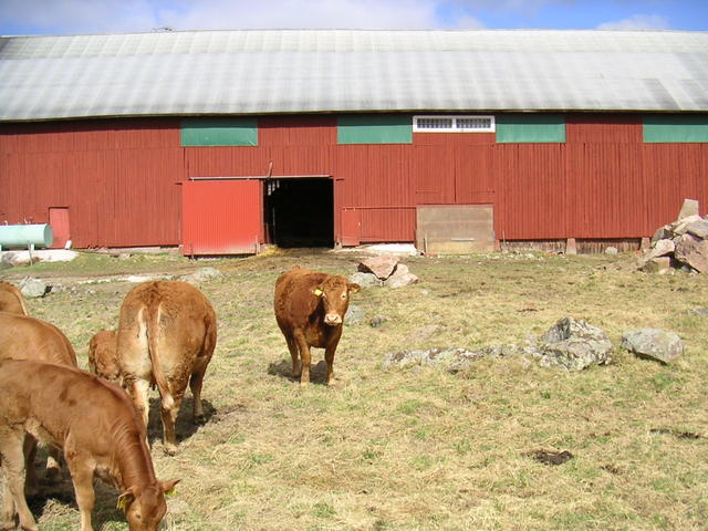 20040424_121551_0.jpg