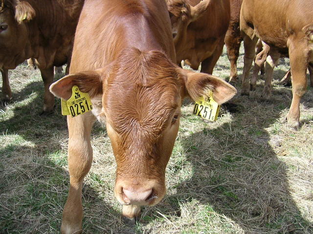 20040424_121629_0.jpg