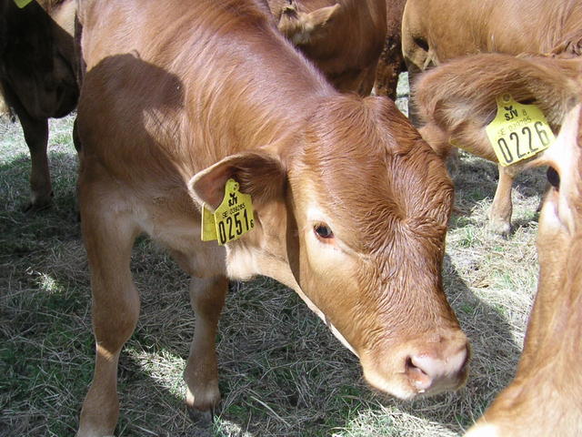 20040424_121634_0.jpg