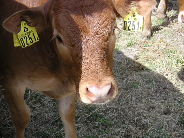 20040424_121709_0.jpg