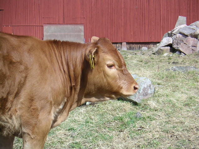 20040424_121731_0.jpg