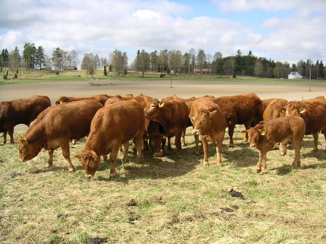 20040424_121814_0.jpg