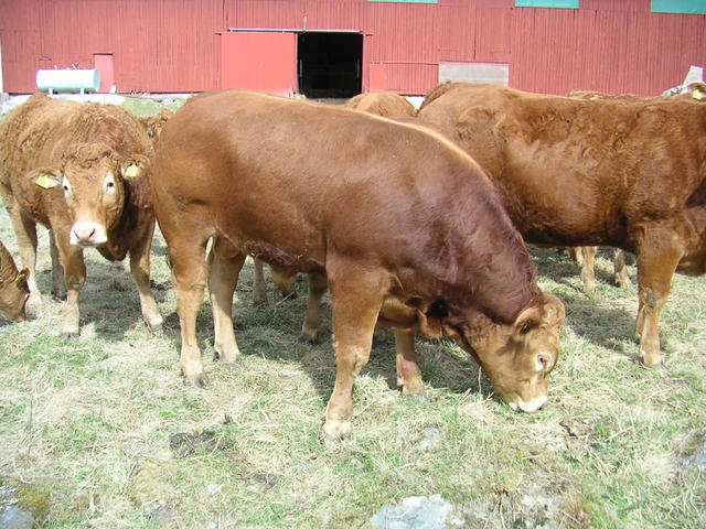 20040424_121907_0.jpg