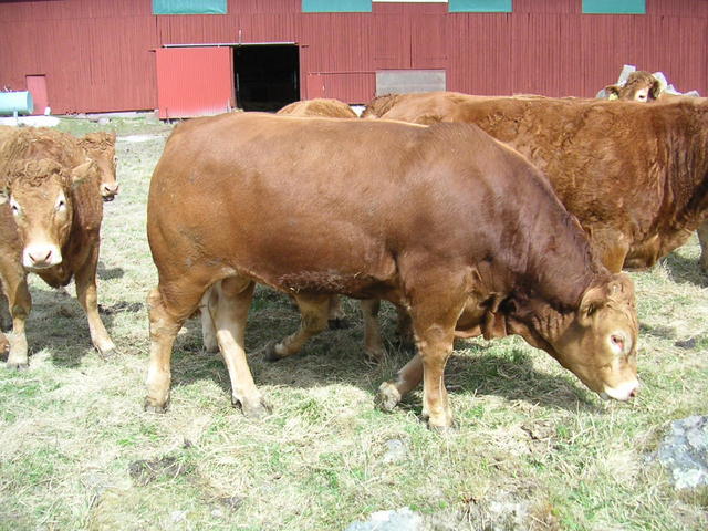 20040424_121911_0.jpg