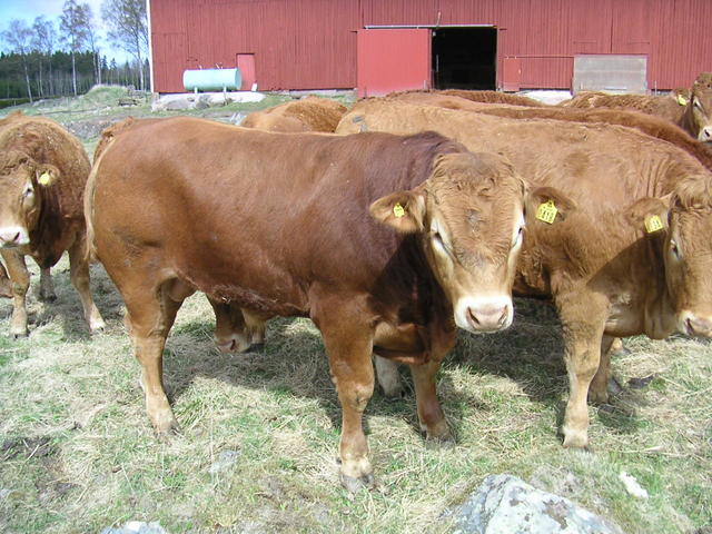 20040424_121921_0.jpg