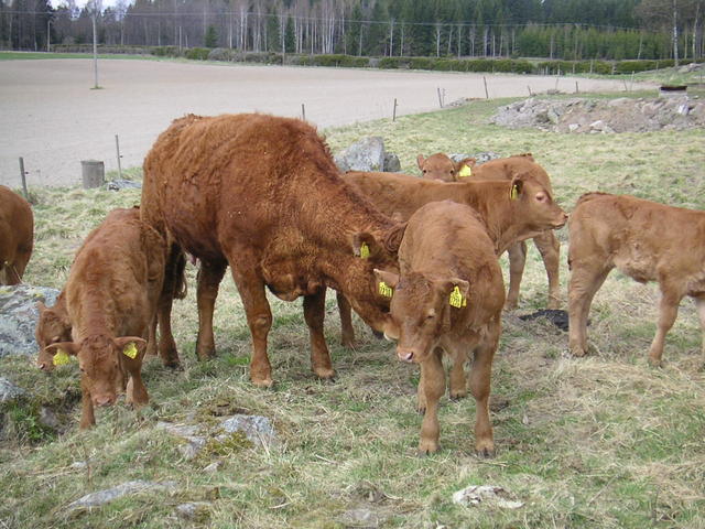 20040424_122029_0.jpg