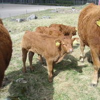 20040424_122133_0.jpg