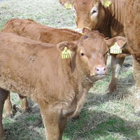 20040424_122138_0.jpg