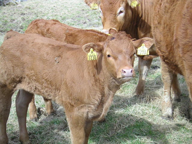 20040424_122138_0.jpg