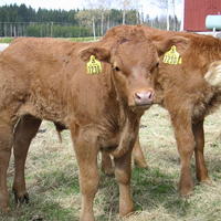 20040424_122229_0.jpg