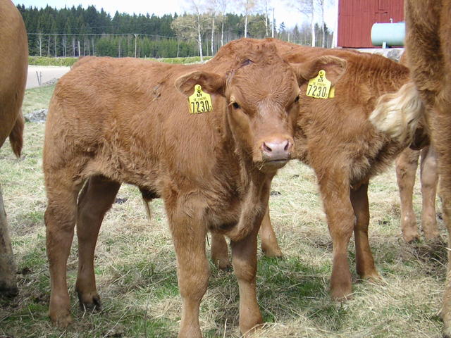 20040424_122229_0.jpg