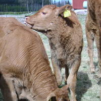 20040424_122251_0.jpg
