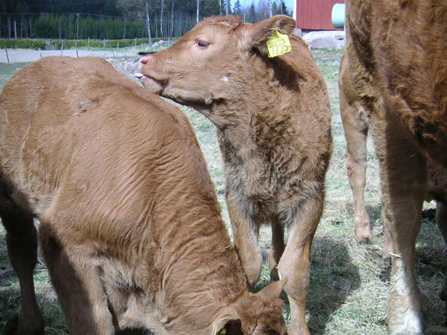 20040424_122251_0.jpg