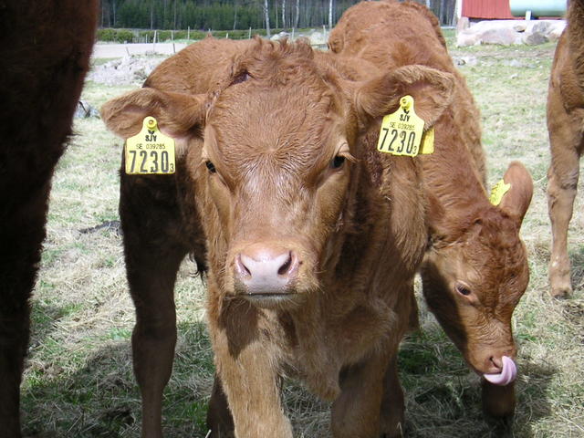 20040424_122308_0.jpg