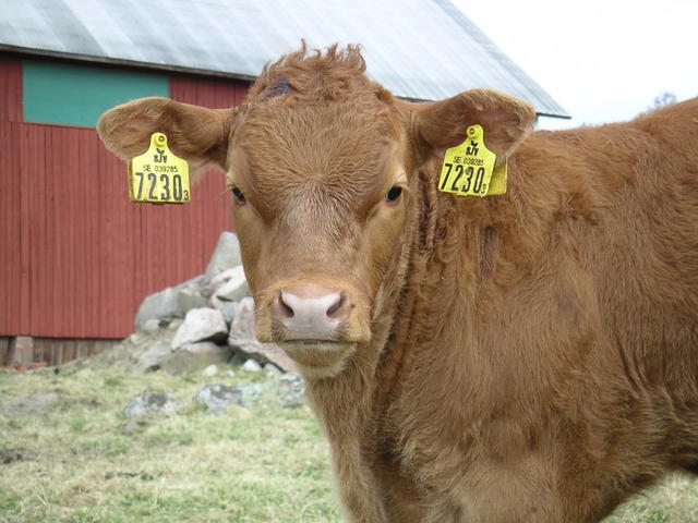 20040424_122518_0.jpg