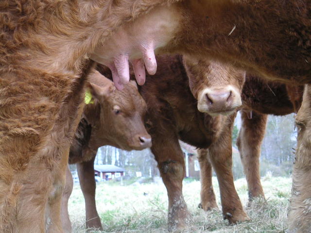 20040424_122525_0.jpg