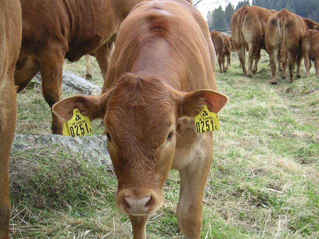 20040424_122551_0.jpg