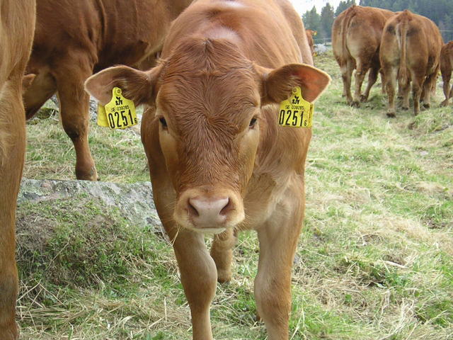 20040424_122556_0.jpg