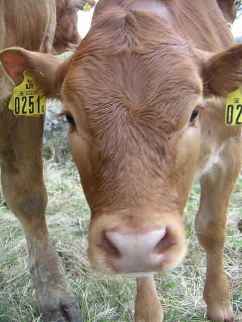 20040424_122620_0.jpg