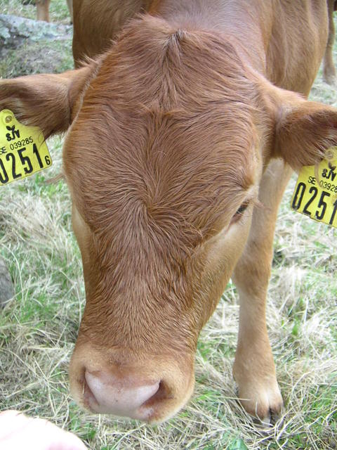 20040424_122629_0.jpg