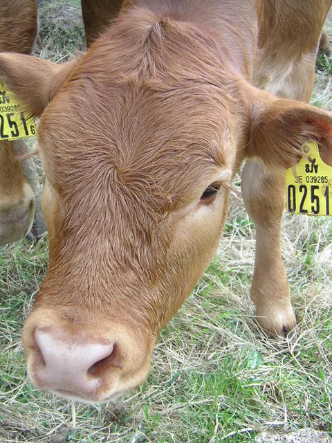 20040424_122642_0.jpg