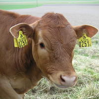 20040424_122658_0.jpg