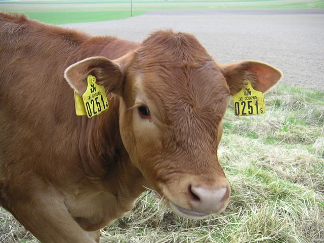 20040424_122658_0.jpg