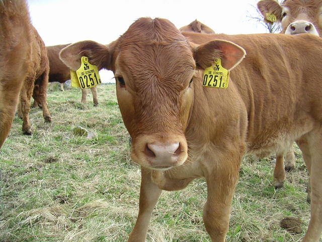 20040424_122735_0.jpg