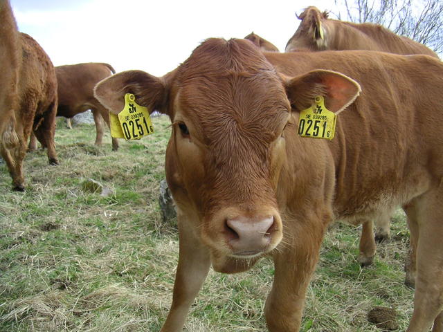 20040424_122738_0.jpg