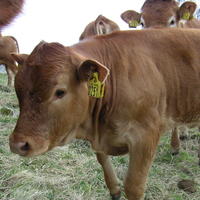 20040424_122740_0.jpg