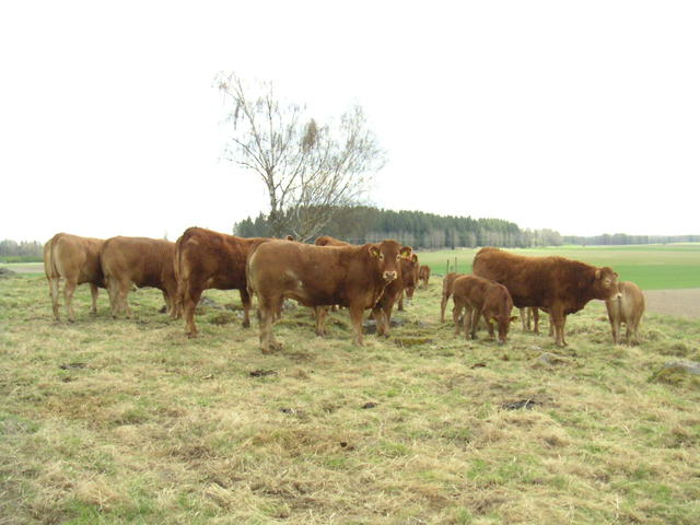 20040424_122806_0.jpg