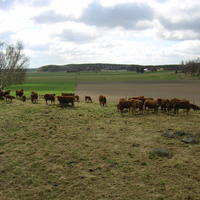 20040424_122848_0.jpg