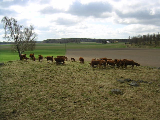20040424_122848_0.jpg