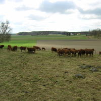 20040424_122900_0.jpg