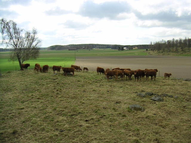 20040424_122900_0.jpg