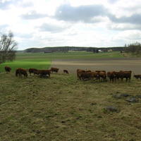 20040424_122915_0.jpg