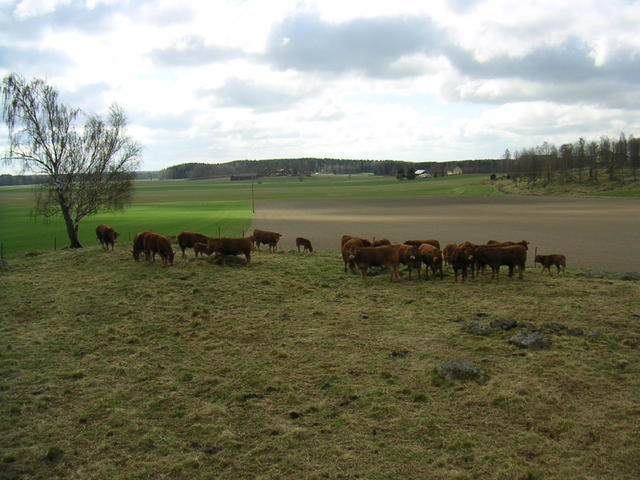 20040424_122915_0.jpg