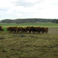 20040424_122954_0.jpg