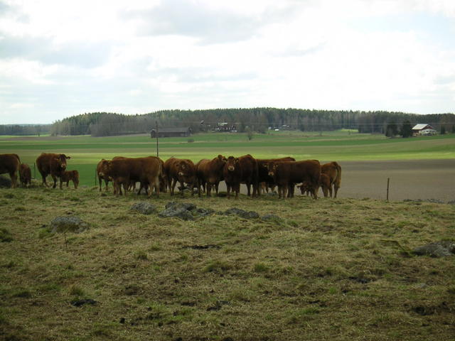 20040424_122954_0.jpg
