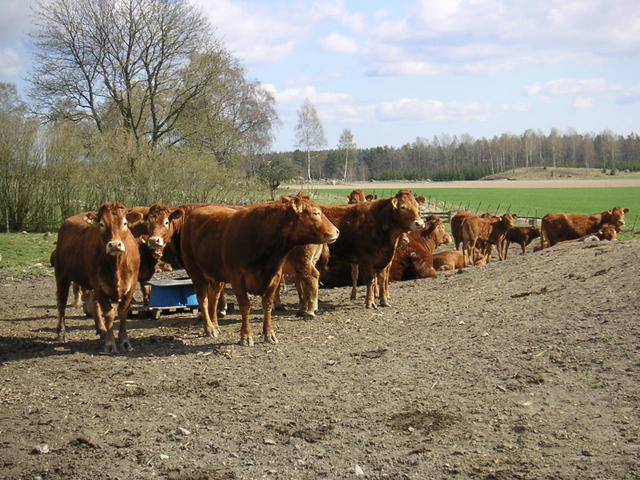 20040424_143405_0.jpg