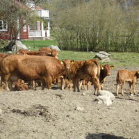 20040424_143518_0.jpg
