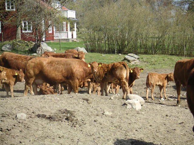 20040424_143518_0.jpg