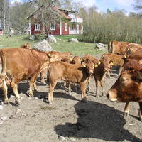 20040424_143608_0.jpg