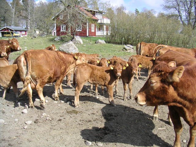 20040424_143608_0.jpg