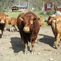 20040424_143630_0.jpg