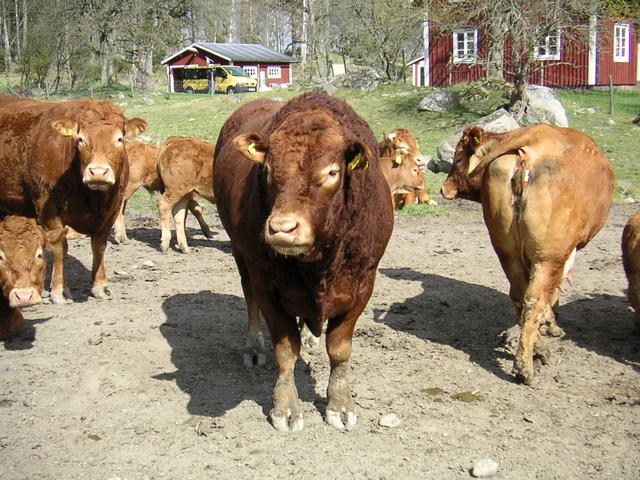 20040424_143630_0.jpg
