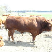 20040424_143659_0.jpg