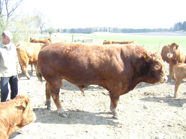 20040424_143659_0.jpg